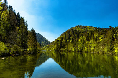 Scenic view of lake by trees against sky