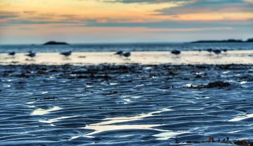 Surface level of sea against sky during sunset