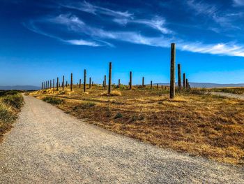 Road amidst field against sky