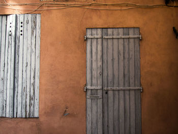 Close-up of lizard on wooden door