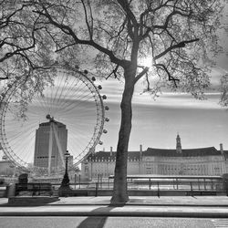 View of bare trees against sky