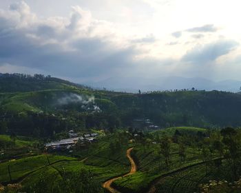 Scenic view of agricultural field against sky