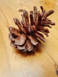 High angle view of dried on table