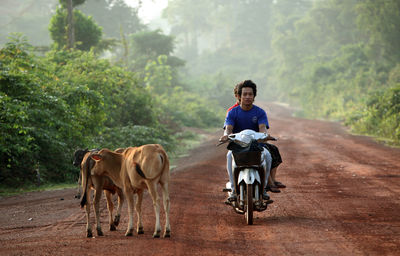 Man and woman riding scooter on road