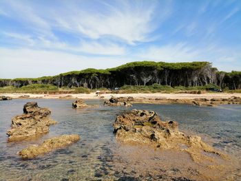 Scenic view of sea against sky