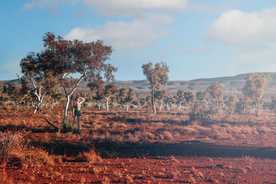 Trees on field against sky