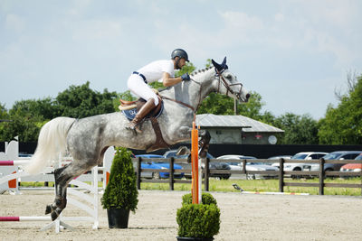 Side view of man riding horse over hurdle against sky