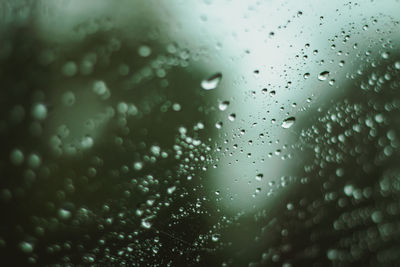 Full frame shot of raindrops on glass window