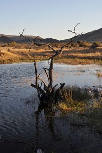 Scenic view of lake against clear sky
