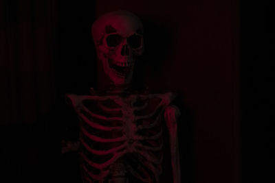 Close-up of human skeleton