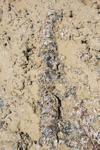 Full frame shot of water on the beach