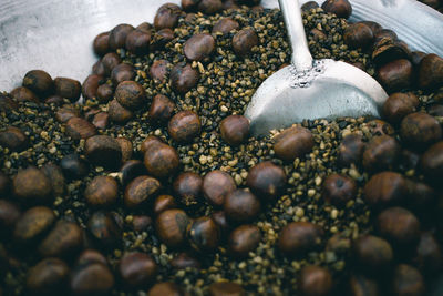 High angle view of coffee beans