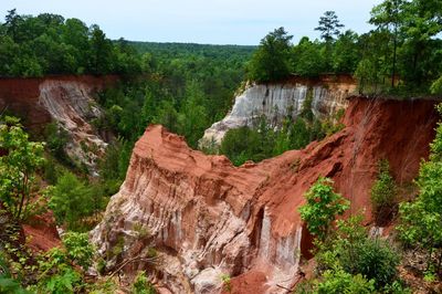 Scenic view of rock formation amidst trees against sky