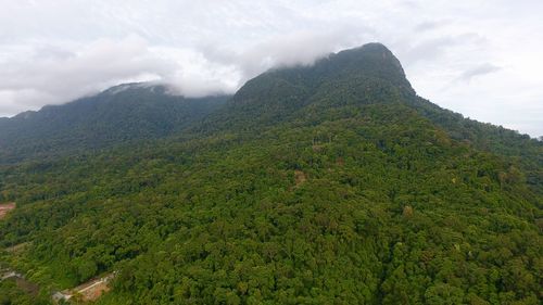 Scenic view of green landscape against sky