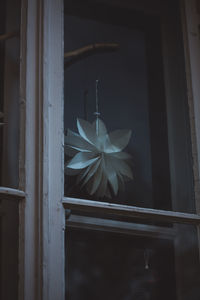 Low angle view of decorative star in window