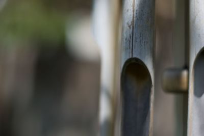 Close-up of plant against blurred background