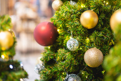 Close-up of christmas tree