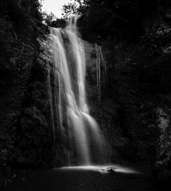 Scenic view of waterfall against trees