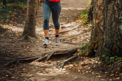 Low section of man walking in forest