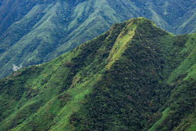 Mountain range downhill peak with light mist at morning from top angle