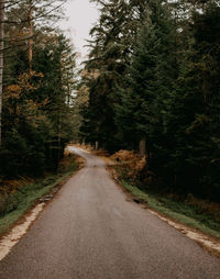 Winding road through a forest in autumnal fall time