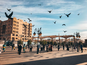 Flock of birds flying over city