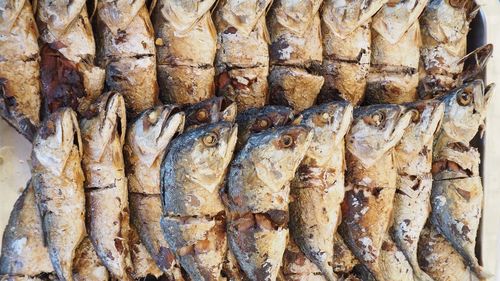 High angle view of fish for sale at market