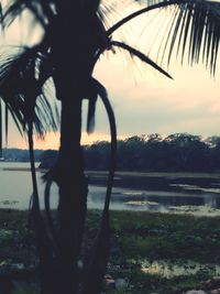 Silhouette palm trees by lake against sky at sunset