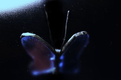 Close-up of water underwater