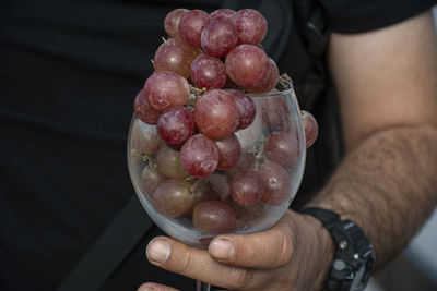 High angle view of hand holding berries