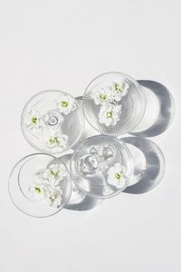 High angle view of white rose on table