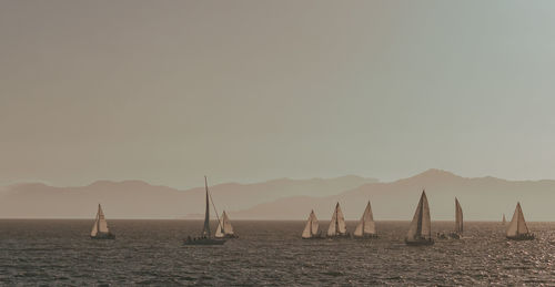 Sailboats on sea against clear sky