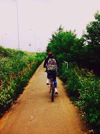 Man riding bicycle