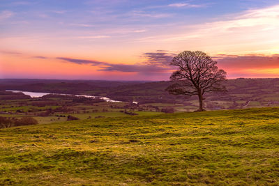 Scenic view of field against sky during sunset