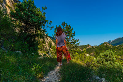 Rear view of person on street amidst trees against sky