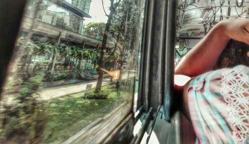 Cropped image of tree trunk