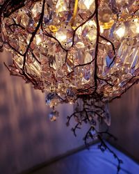 Low angle view of chandelier hanging on tree