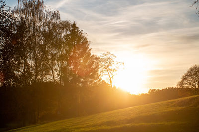 Sunlight streaming through trees on landscape against sky during sunset