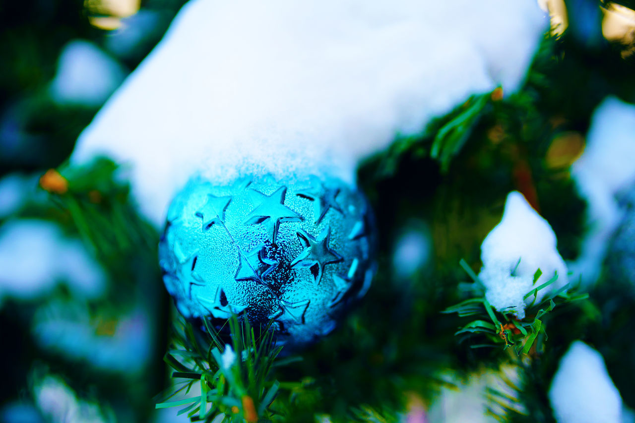 CLOSE-UP OF CHRISTMAS TREE AGAINST BLUE SKY