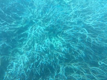 Full frame shot of swimming pool