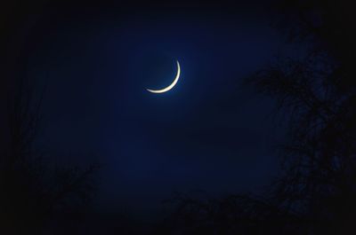 Low angle view of moon in sky at night