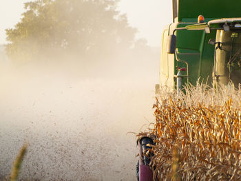 Combine harvester on farm