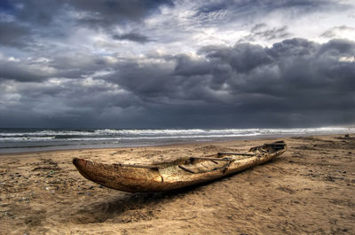 Driftwood on beach against cloudy sky