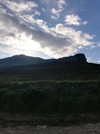 Scenic view of field against sky