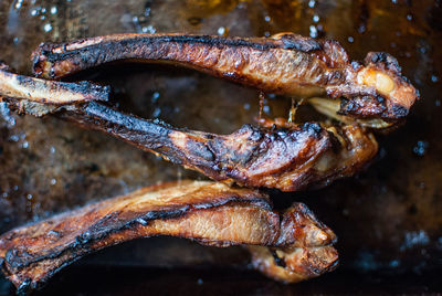 Directly above shot of roasted ribs