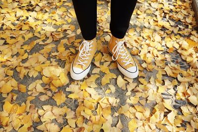 Wearing a converse standing on ginkgo leaves in autumn