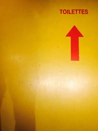 Close-up of red flower