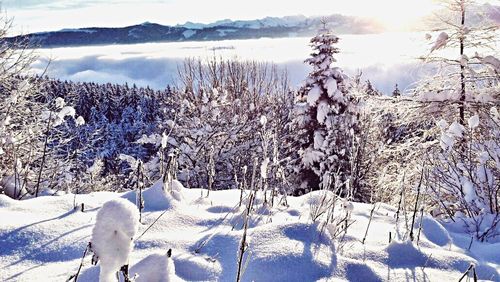 Scenic view of snow covered mountains