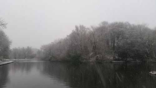Reflection of trees in river