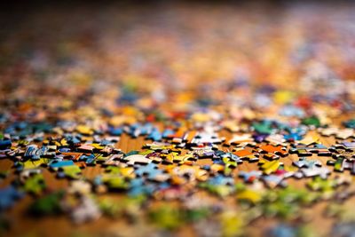High angle view of leaves on table